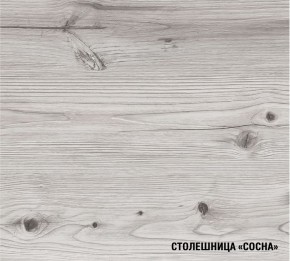 АСАЯ Кухонный гарнитур Экстра 2 (3000 мм) ПМ в Ноябрьске - noyabrsk.ok-mebel.com | фото 8
