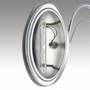 Бра Lumion INCANTO 8034/1W в Ноябрьске - noyabrsk.ok-mebel.com | фото 7