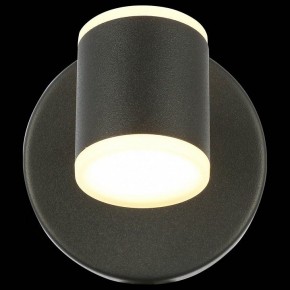 Бра ST-Luce Formolla SL1597.401.01 в Ноябрьске - noyabrsk.ok-mebel.com | фото 5