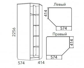 Детская Фанк Шкаф угловой Левый/Правый НМ 013.04-02 М в Ноябрьске - noyabrsk.ok-mebel.com | фото 3