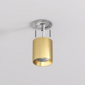 DK2610-SB Накладной светильник SHINE TUBE со светодиодом, D70*H80, IP20, 3000К, 10W, RA?90, сатинированная латунь, алюминий в Ноябрьске - noyabrsk.ok-mebel.com | фото 3