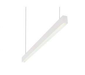 DK9124-WH Линейный светильник 30W 1250mm 4000K, белый в Ноябрьске - noyabrsk.ok-mebel.com | фото