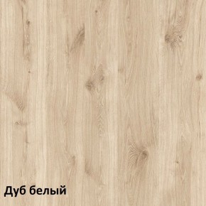 Эйп Шкаф для одежды 13.334 в Ноябрьске - noyabrsk.ok-mebel.com | фото 5