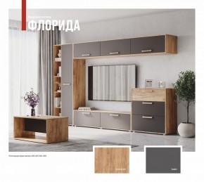 ФЛОРИДА Гостиная (модульная) дуб золотой/графит в Ноябрьске - noyabrsk.ok-mebel.com | фото