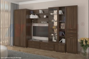 Гостиная Карина Композиция 11 (Акация Молдау) в Ноябрьске - noyabrsk.ok-mebel.com | фото