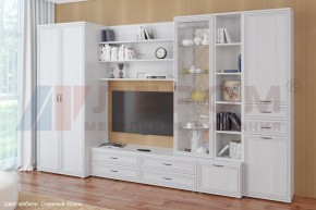 Гостиная Карина Композиция 11 (Снежный ясень) в Ноябрьске - noyabrsk.ok-mebel.com | фото