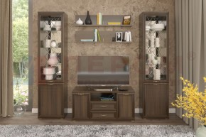 Гостиная Карина Композиция 13 (Акация Молдау) в Ноябрьске - noyabrsk.ok-mebel.com | фото