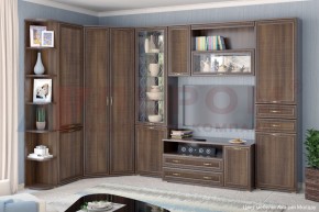 Гостиная Карина Композиция 18 (Акация Молдау) в Ноябрьске - noyabrsk.ok-mebel.com | фото