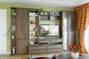 Гостиная Карина Композиция 20 (Акация Молдау) в Ноябрьске - noyabrsk.ok-mebel.com | фото