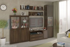 Гостиная Карина Композиция 22 (Акация Молдау) в Ноябрьске - noyabrsk.ok-mebel.com | фото