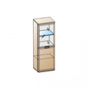 Гостиная Карина Композиция 22 (Акация Молдау) в Ноябрьске - noyabrsk.ok-mebel.com | фото 2