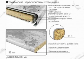 Кухонный фартук со столешницей (А-04) в едином стиле (3050 мм) в Ноябрьске - noyabrsk.ok-mebel.com | фото 6