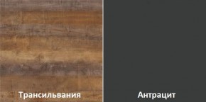 Кухонный гарнитур угловой Трансильвания 2600х1600 мм (Стол. 38 мм) в Ноябрьске - noyabrsk.ok-mebel.com | фото 3