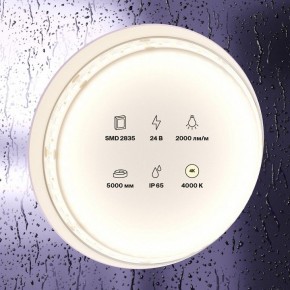 Лента светодиодная Maytoni Led strip 10158 в Ноябрьске - noyabrsk.ok-mebel.com | фото 2