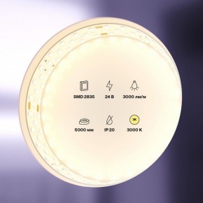 Лента светодиодная Maytoni Led strip 20031 в Ноябрьске - noyabrsk.ok-mebel.com | фото 2