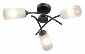 Люстра на штанге Vitaluce V2850 V2850-1/3PL в Ноябрьске - noyabrsk.ok-mebel.com | фото 2