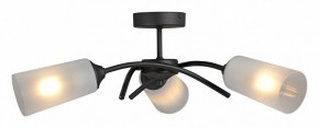 Люстра на штанге Vitaluce V2850 V2850-1/3PL в Ноябрьске - noyabrsk.ok-mebel.com | фото 3