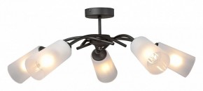 Люстра на штанге Vitaluce V2850 V2850-1/5PL в Ноябрьске - noyabrsk.ok-mebel.com | фото