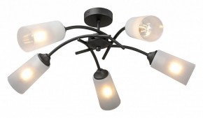 Люстра на штанге Vitaluce V2850 V2850-1/5PL в Ноябрьске - noyabrsk.ok-mebel.com | фото 2