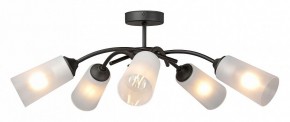 Люстра на штанге Vitaluce V2850 V2850-1/5PL в Ноябрьске - noyabrsk.ok-mebel.com | фото 3