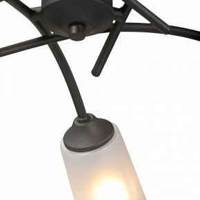 Люстра на штанге Vitaluce V2850 V2850-1/5PL в Ноябрьске - noyabrsk.ok-mebel.com | фото 6
