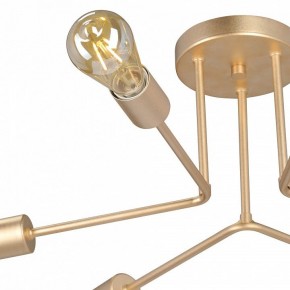 Люстра на штанге Vitaluce V3071 V3071-8/6PL в Ноябрьске - noyabrsk.ok-mebel.com | фото 6