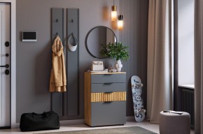 МЕБЕЛЬСОН К21 Прихожая  (графит) в Ноябрьске - noyabrsk.ok-mebel.com | фото