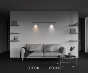 Модульный светильник Maytoni Focus LED C102CL-3W3-6K-BS в Ноябрьске - noyabrsk.ok-mebel.com | фото 4