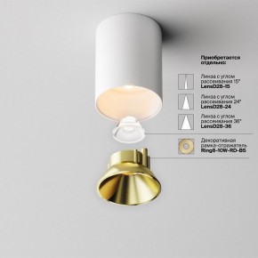 Накладной светильник Maytoni Alfa LED C064CL-8W2.7K-RD-WB в Ноябрьске - noyabrsk.ok-mebel.com | фото 3