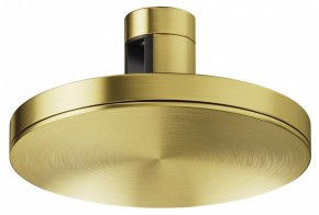 Накладной светильник Maytoni Plato TR152-1-7W4K-BS в Ноябрьске - noyabrsk.ok-mebel.com | фото