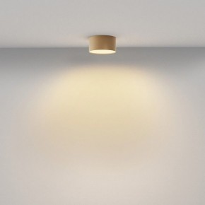 Накладной светильник Maytoni Zon C032CL-12W2.7K-RD-MG в Ноябрьске - noyabrsk.ok-mebel.com | фото 4
