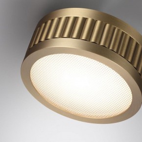 Накладной светильник Odeon Light Manchester 7013/7CL в Ноябрьске - noyabrsk.ok-mebel.com | фото 5