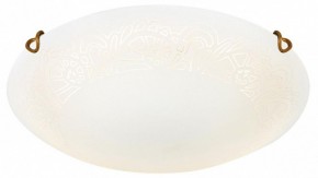 Накладной светильник Sonex Ammonite 7602/DL в Ноябрьске - noyabrsk.ok-mebel.com | фото 3
