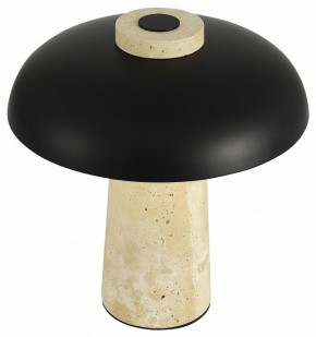 Настольная лампа декоративная ST-Luce Earthy SL1194.424.01 в Ноябрьске - noyabrsk.ok-mebel.com | фото 5