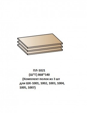 ПЛ-1021 (Комплект полок из 3 шт для ШК-1001, 1002, 1003, 1004, 1005, 1007) в Ноябрьске - noyabrsk.ok-mebel.com | фото