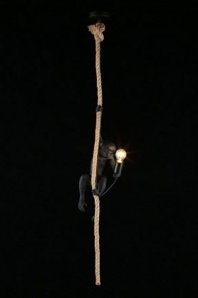 Подвесной светильник Aployt Magali APL.309.16.01 в Ноябрьске - noyabrsk.ok-mebel.com | фото 3