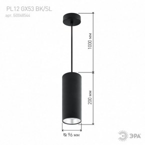 Подвесной светильник Эра  PL12 GX53 BK/SL в Ноябрьске - noyabrsk.ok-mebel.com | фото 8