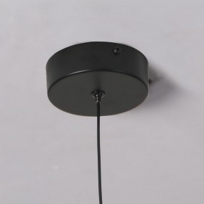 Подвесной светильник Favourite Wilet 4656-1P в Ноябрьске - noyabrsk.ok-mebel.com | фото 10