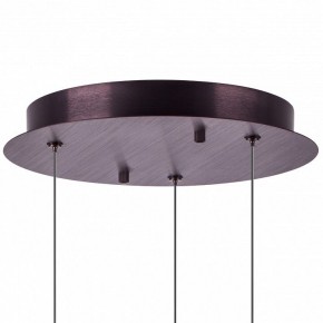 Подвесной светильник Lightstar Caramello 796139 в Ноябрьске - noyabrsk.ok-mebel.com | фото 13