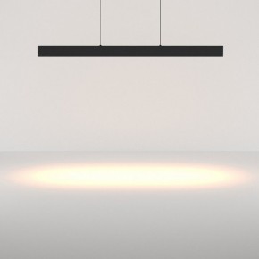 Подвесной светильник Maytoni Ephoria P109PL-36W2.7-6K-B в Ноябрьске - noyabrsk.ok-mebel.com | фото 3