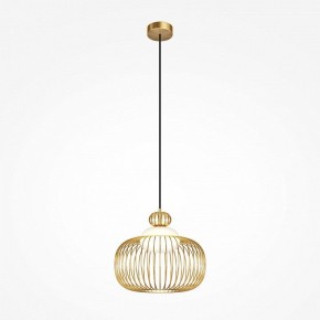 Подвесной светильник Maytoni Levitation MOD376PL-01G в Ноябрьске - noyabrsk.ok-mebel.com | фото 2