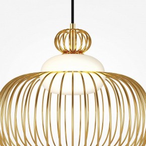 Подвесной светильник Maytoni Levitation MOD376PL-01G в Ноябрьске - noyabrsk.ok-mebel.com | фото 6