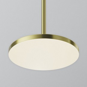 Подвесной светильник Maytoni Plato P076PL-L12W4K-BS в Ноябрьске - noyabrsk.ok-mebel.com | фото 7