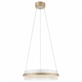 Подвесной светильник ST-Luce Cherio SL383.203.01 в Ноябрьске - noyabrsk.ok-mebel.com | фото 3
