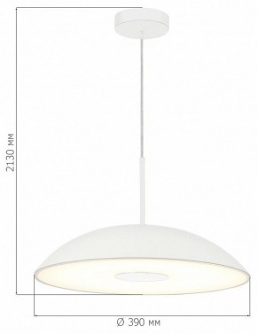 Подвесной светильник ST-Luce Lido SL6128.503.01 в Ноябрьске - noyabrsk.ok-mebel.com | фото 4