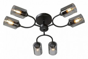 Потолочная люстра Vitaluce V2823 V2823-1/6PL в Ноябрьске - noyabrsk.ok-mebel.com | фото 2