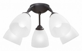 Потолочная люстра Vitaluce V3184 V3737-2/5PL в Ноябрьске - noyabrsk.ok-mebel.com | фото