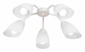 Потолочная люстра Vitaluce V31950 V31950/5PL в Ноябрьске - noyabrsk.ok-mebel.com | фото