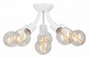 Потолочная люстра Vitaluce V3927 V3927-0/6PL в Ноябрьске - noyabrsk.ok-mebel.com | фото