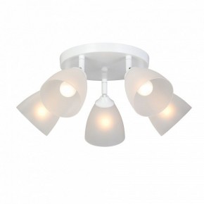 Потолочная люстра Vitaluce V4355 V4355-0/5PL в Ноябрьске - noyabrsk.ok-mebel.com | фото 2